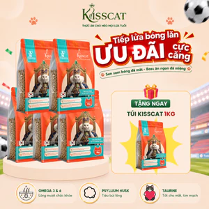 Hạt cho mèo Kisscat 30% Đạm Tiêu búi lông giúp lông bóng mượt