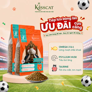 Hạt cho mèo Tiêu búi Lông Kisscat 30% đạm Hỗ trợ lông bóng mượt