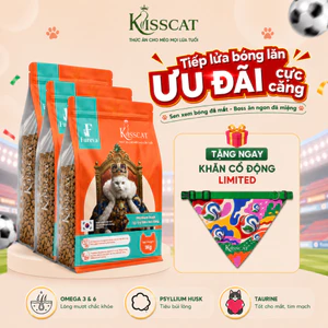 Hạt cho mèo Kisscat 30% đạm dùng được cho mèo từ 2 tháng tuổi tiêu búi lông hiệu quả
