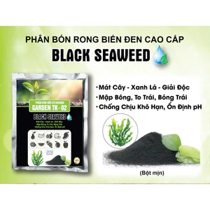 Phân bón rong biển đen cao cấp - gói 500gr siêu giải đ cây trồng phục hồi cây