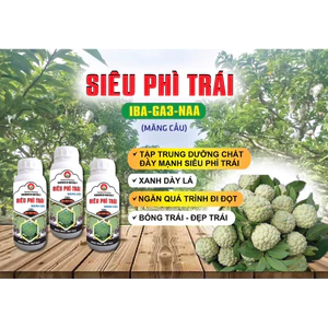 PBL SIÊU PHÌ TRÁI (MÃNG CẦU)
