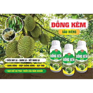 PBL ĐỒNG KẼM (SẦU RIÊNG)