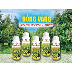 PBL ĐỒNG VÀNG