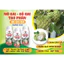 PBL NỞ GAI- GỒ GAI - TẠO PHẤN