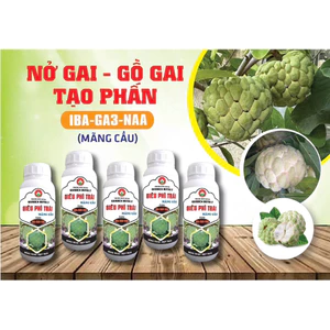PBL NỞ GAI- GỒ GAI - TẠO PHẤN