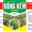 PBL ĐỒNG KẼM (SẦU RIÊNG) chai 500ml