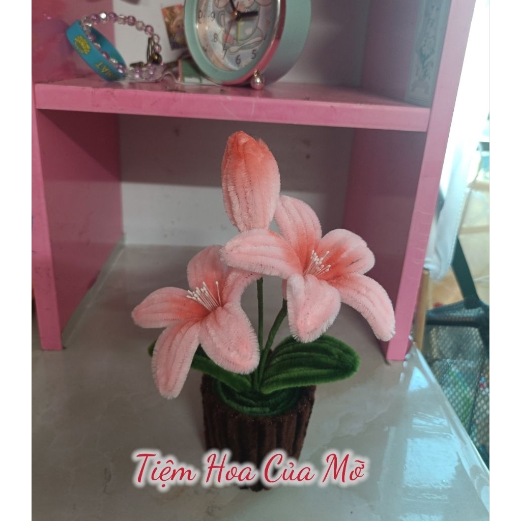 Chậu Hoa Ly Kẽm Nhung Để Bàn Xinh Xắn