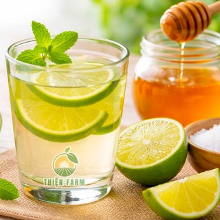 Cây Chanh Giấy sẵn trái THIỆN FARM cây trồng chậu, trồng sân thượng, ban công
