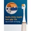 Bộ 4 Đầu Bàn Chải 9pmcare Tương Thích Philips Sonicare (2 AIO Sạch Sâu & 2 US Siêu Mềm)