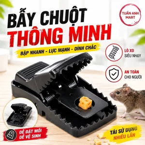 Combo 4 cái Bẫy Chuột Thông Minh Nhựa Đen