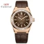 Đồng Hồ Nam Chính Hãng I&W Carnival 733G-D7 Full Box Chống Nước Kính Sapphire (Máy Cơ Tự Động)