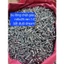 bu lông chặt giác m6x25 ren 1.0 bắt đuôi xe máy dream việt dream thái xịn