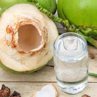 Bao 12 Trái Dừa Xiêm Xanh Bến Tre/Tiền Giang Nguyên Vỏ KACOCO (10 tặng 2) - Dừa xiêm ngọt uống nước giải khát mùa hè