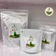 Bột Trà Matcha Hương Nhài JASMINE 500g- tặng 1 gói 10g