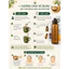Bột Thổ Nhân Sâm 100%