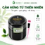 Gel lột mụn đầu đen Ngân Bình 50gr kèm cọ quét, hỗ trợ làm sạch bã nhờn và mụn cám vùng mũi, cằm