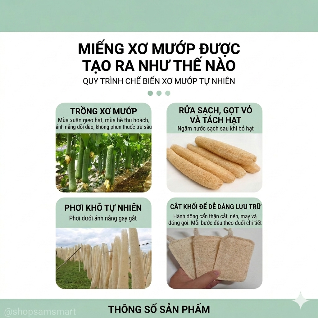 Miếng Rửa Bát Xơ Mướp Tự Nhiên – Làm Sạch Hiệu Quả, Không Trầy Xước, Có Móc Treo