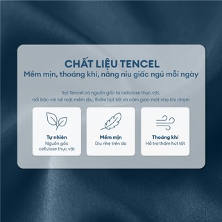 [100% TENCEL] Bộ 5 Món Drap, Áo Gối NIN Florence 80s | Đủ Màu | Nhiều Kích Thước | Lụa Tencel Mát Lạnh