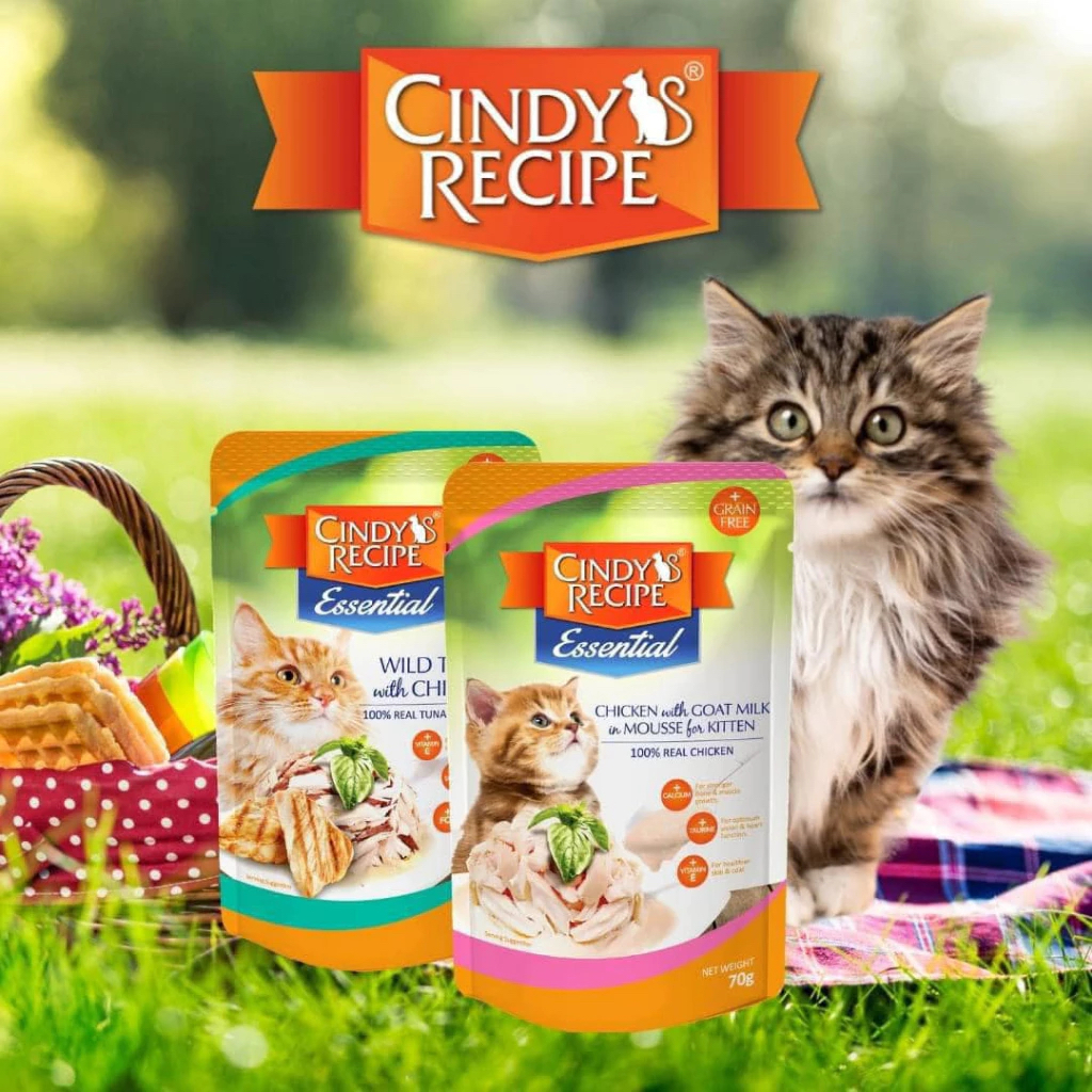 Pate Cho Mèo Cindy Recipe 70g – Dạng Thạch Cá Ngừ, Thịt Gà | Thức Ăn Mềm Cho Mèo Con & Trưởng Thành