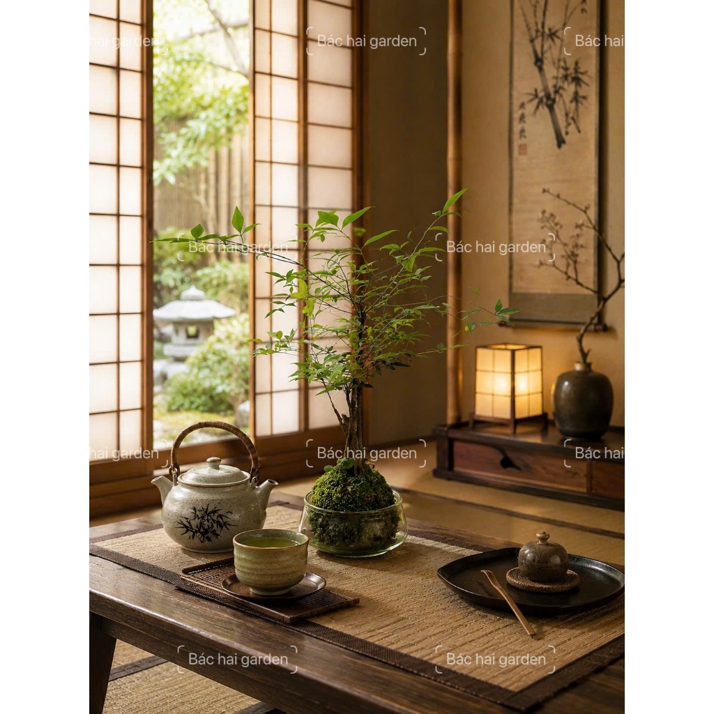 Cây Nam Thiên Trúc Kokedama Bóng Rêu Nhật Bản - Cây Cảnh Mini Để Bàn Làm Việc Trang Trí Nội Thất Hiện Đại Dễ Chăm Sóc