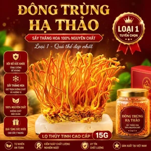 Đông Trùng Hạ Thảo Của Trường Nông Lâm Đông Bắc - Sấy Thăng Hoa 100% Nguyên Chất Loại 1