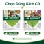 Advantage II for CatAnti Fleas & Ear Mites Eggs Larvae Treatment Supply 2dose/no Box