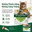 Advantage II for CatAnti Fleas & Ear Mites Eggs Larvae Treatment Supply 2dose/no Box