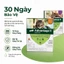 Advantage II for CatAnti Fleas & Ear Mites Eggs Larvae Treatment Supply 2dose/no Box