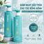 Nebe Dầu Gội 300ml Hỗ Trợ Giảm Gãy Rụng, Kiểm Soát Dầu, Dưỡng Tóc Chắc Khỏe Bồng Bềnh, Không Bết Dính Sạch Thoáng Da Đầu