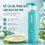 Nebe Dầu Gội 300ml Hỗ Trợ Giảm Gãy Rụng, Kiểm Soát Dầu, Dưỡng Tóc Chắc Khỏe Bồng Bềnh, Không Bết Dính Sạch Thoáng Da Đầu