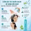 Nebe Dầu Gội 300ml Hỗ Trợ Giảm Gãy Rụng, Kiểm Soát Dầu, Dưỡng Tóc Chắc Khỏe Bồng Bềnh, Không Bết Dính Sạch Thoáng Da Đầu