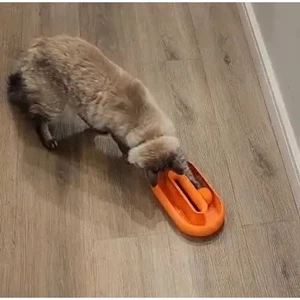 Đồ Chơi Oval Cho Mèo – Cat Toy Oval Bóng Chạy Tương Tác Giúp Mèo Vận Động -KT 20cm