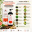 Dầu Gội Thảo Dược Dưỡng Sinh Chăm Sóc Tóc Mềm Mượt Nutritive Herbal Shampoo Mediworld 500ml