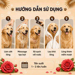Sữa Tắm Xả Cho Chó Mèo 3in1 Louis Rose 4L, Sữa Tắm Kiêm Dầu Xả Chó Mèo Thú Cưng 4000ml