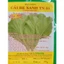 20gr Hạt giống Cải Bẹ Xanh TN 153, Rau Ăn Lá Cty Trang Nông Nổi Tiếng, Trồng Quanh Năm, Hạt Nảy Mầm Nhanh, Mạnh