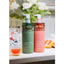 Bộ dầu gội xả Valert Grapefruit hương bưởi 850ml hỗ trợ chăm sóc tóc gãy rụng, dưỡng tóc mềm mượt, chắc khỏe chuẩn salon