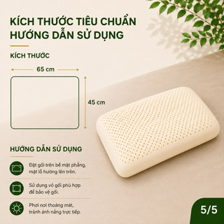 Gối Cao Su Thiên Nhiên Oval Aniva Bedding 45x65cm Chính Hãng Đàn Hồi Tốt Thoáng Khí Kháng Khuẩn
