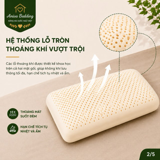 Gối Cao Su Thiên Nhiên Oval Aniva Bedding 45x65cm Chính Hãng Đàn Hồi Tốt Thoáng Khí Kháng Khuẩn