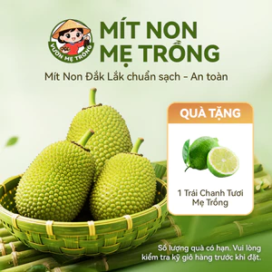 Quả Mít Non Mẹ Trồng 1Kg (1 trái 1 - 2kg)