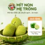 Quả Mít Non Mẹ Trồng 1Kg (1 trái 1 - 2kg)