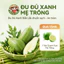 Quả đu đủ xanh Mẹ Trồng 2Kg (1 trái từ 1kg đến 2kg)