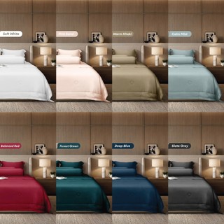 [TENCEL 80S 100%] Fullset Bộ 6 Món Drap, Áo Gối, Mền Chần Tencel NIN FLORENCE 2026 | Màu Trơn | Mát Lạnh, Mềm Mại