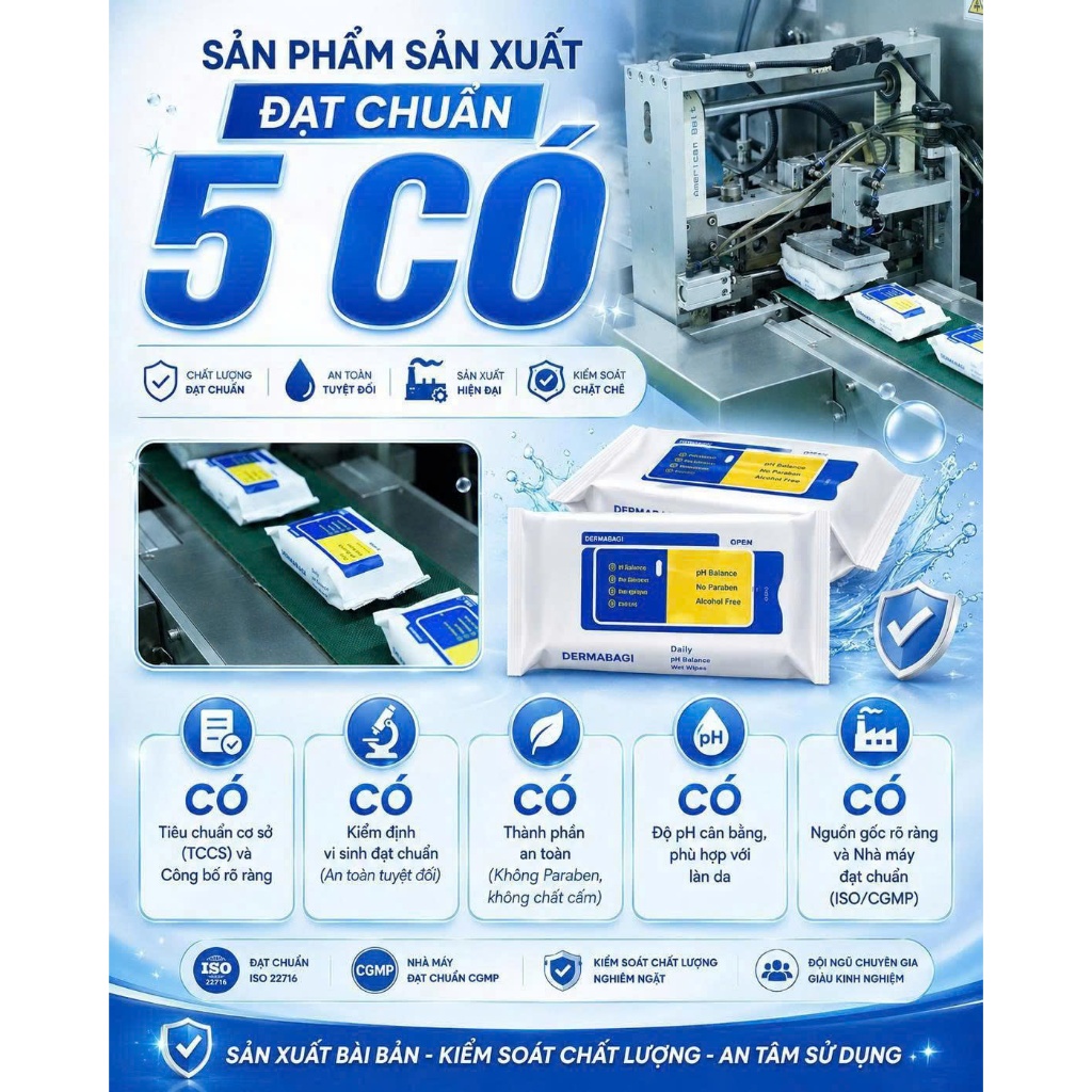Khăn Ướt DERMABAGI Daily pH Balance Wet Wipes 25 Tờ - Cân Bằng pH, Làm Sạch Dịu Nhẹ Face & Body, Hương Trà Xanh | BigBuy360 - bigbuy360.vn