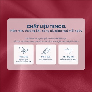 [TENCEL 80S 100%] Fullset Bộ 6 Món Drap, Áo Gối, Mền Chần Tencel NIN FLORENCE 2026 | Màu Trơn | Mát Lạnh, Mềm Mại