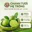 Quả Chanh Tươi Mẹ Trồng (1 trái)