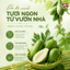 Quả đu đủ xanh Mẹ Trồng 2Kg (1 trái từ 1kg đến 2kg)