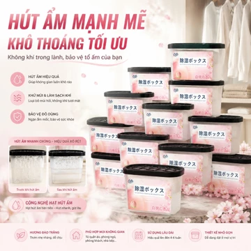 Hộp hút ẩm Hộp Hút Ẩm Vừa Hút Ẩm Vừa Tạo Mùi Thơm Dùng Cho Tủ Quần Áo Tủ Giày Tủ Bếp Hộp Máy Ảnh Chống Mốc