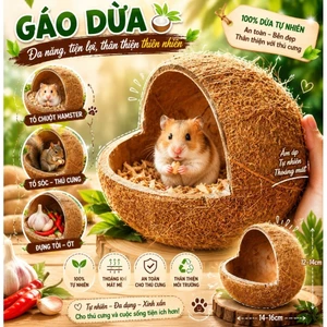 Gáo Dừa Cắt Hàm Ếch Chưa Mài Sạch Xơ - Tổ Ngủ Cho Chim, Hamster, Sóc, Bọ - Trồng Cây Decor ....