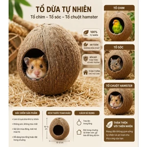 Gáo tổ chim, tổ sóc... đã qua xử lý phần xơ dừa