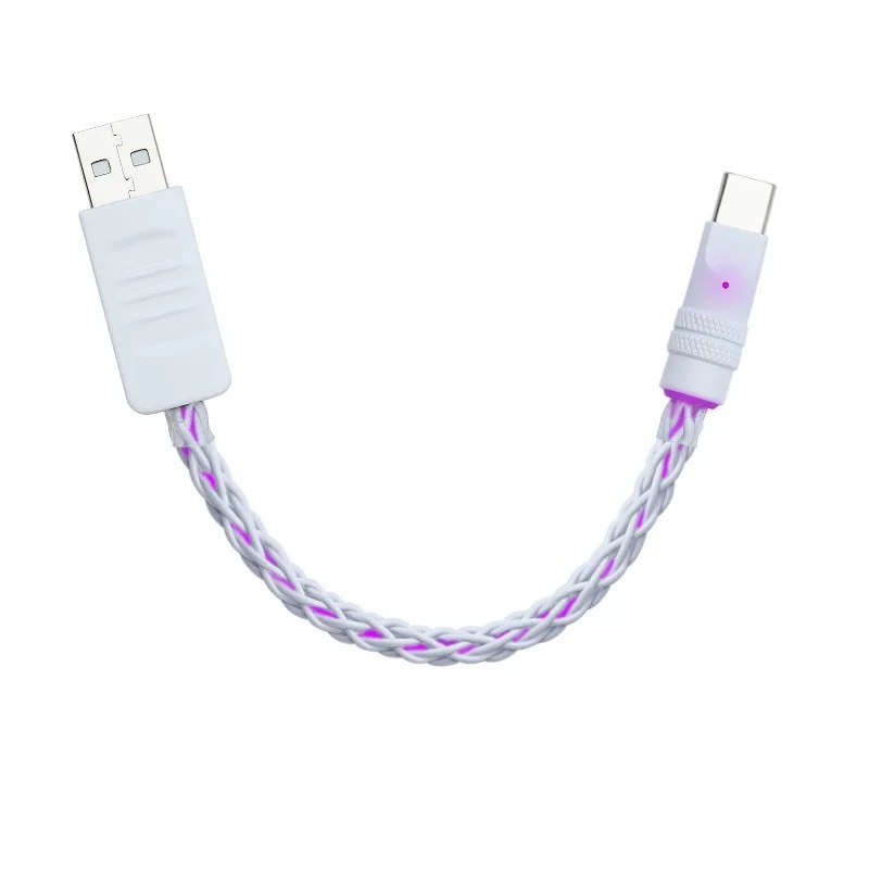 Cáp sạc USB Type C 25cm - Có RGB đổi màu - Hỗ trợ sạc nhanh 22.5W - Phù hợp decor setup